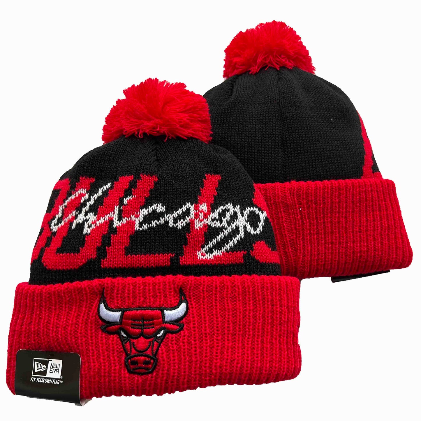 Bulls NBA TOBBAGONS