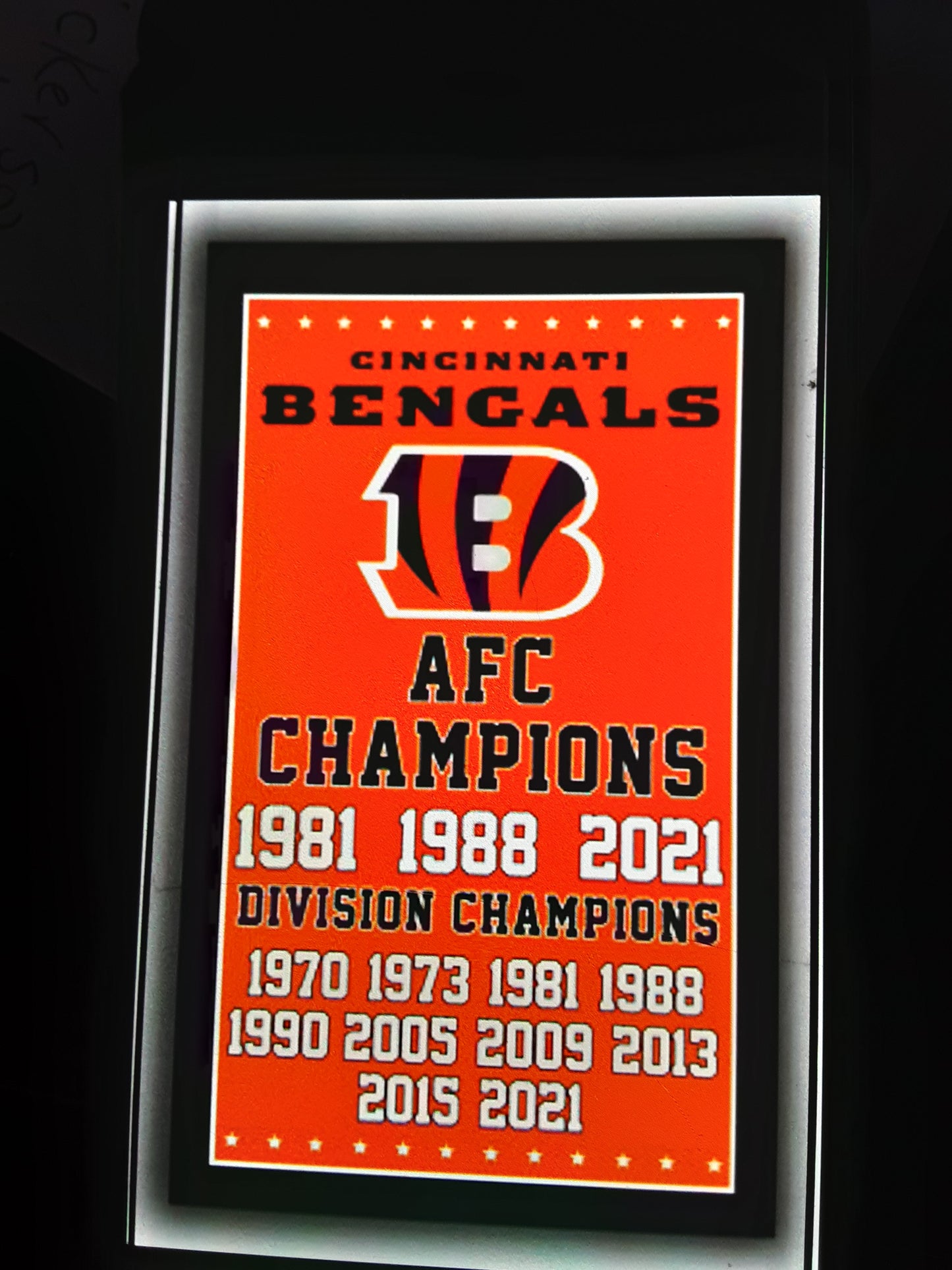 BENGALS AFC CHAMPIONSHIP FLAG